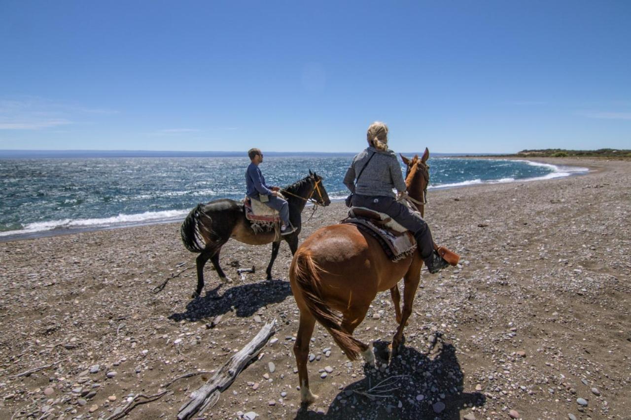 Estancia La Serena Періто-Морено Екстер'єр фото